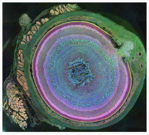 Screen shot 2012-02-19 at 7.36.53 PM