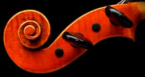 Violin - Scroll
