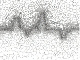 Screen Shot 2015-04-10 at 5.22.55 PM