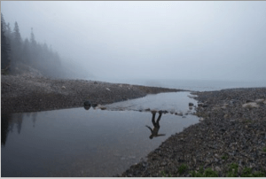 Screen Shot 2015-06-09 at 10.58.53 AM