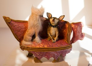 cmacchi_merylruth-3467