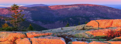 screen-shot-2017-01-19-at-2-17-56-pm